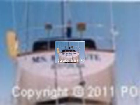 Koupit 1978 Islander 41