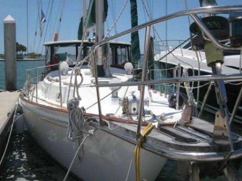 Brewer 42