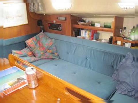 1980 Freedom 35 zu verkaufen