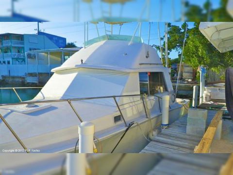 Buy 1977 Bertram 33