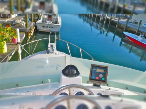 1977 Bertram 33 for sale