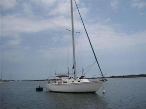 1981 Pearson Cb Sloop