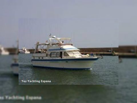 Buy 1990 Trader 41+2