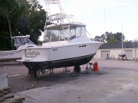 Luhrs 290 Open