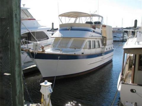 Marine Trader Sundeck
