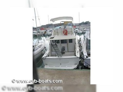 Acquistare 1982 Bertram 33 Sf