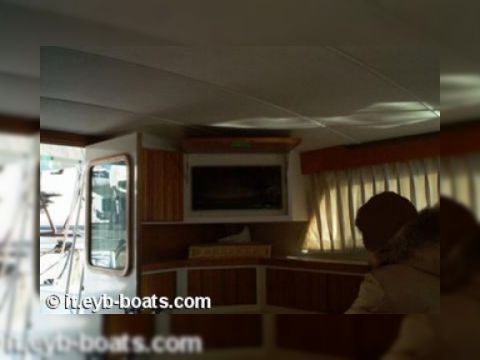 Купити 1988 Bertram 33 Sf