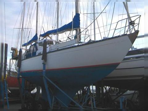 Van de Stadt Rebel 41