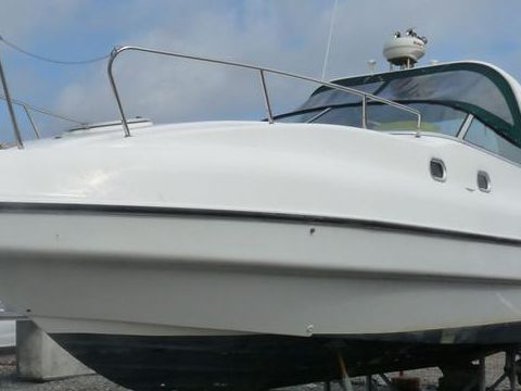 Sunline 31