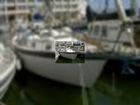 Buy 1980 Irwin 37