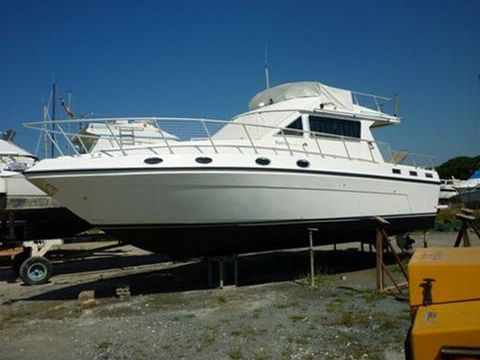 Piantoni Onda Azzurra