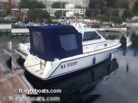 Rodman 800