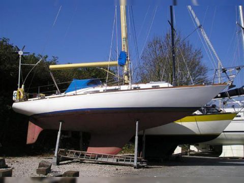 Hustler 35