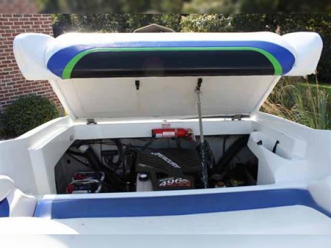 Buy 2006 Baja 245 Performance