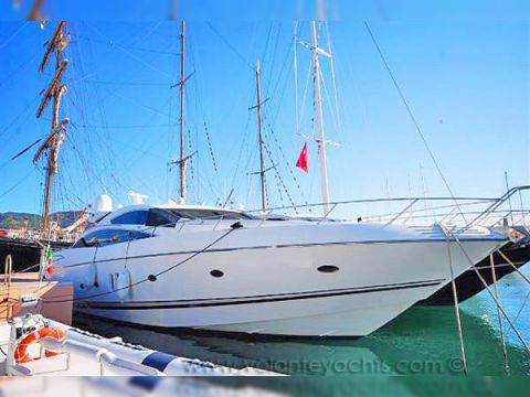 2005 Predator 82