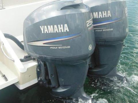 2000 Intrepid Cuddy 339 in vendita