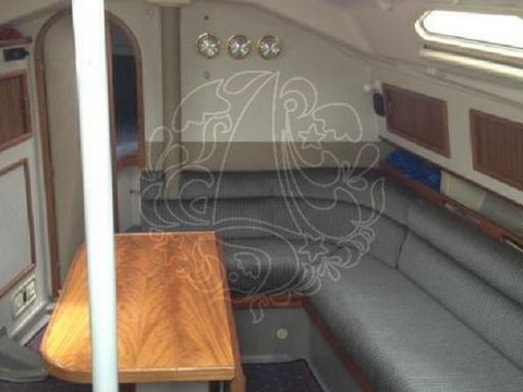1991 Dehler 36 Cws kopen