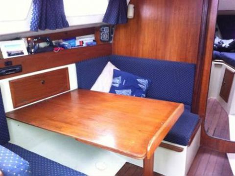 1981 Trapper 501 kopen