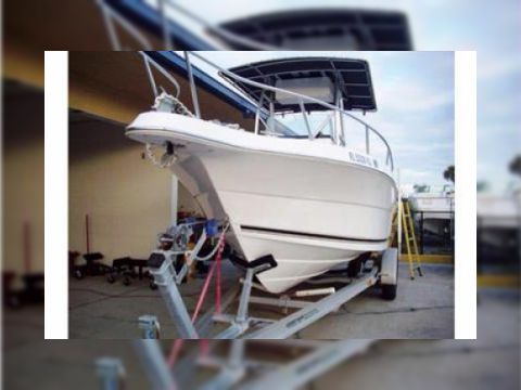 Robalo 230 Cc