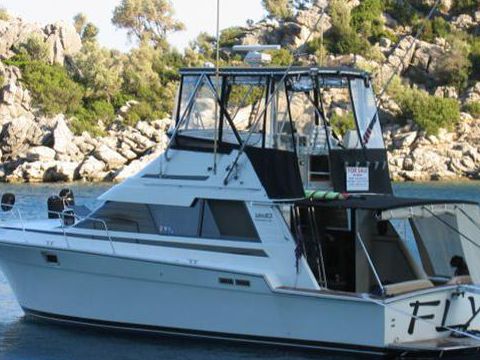 Kupić 1989 Luhrs 40