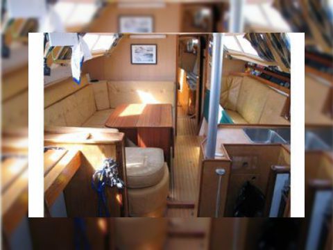 1986 Shark 50 zu verkaufen
