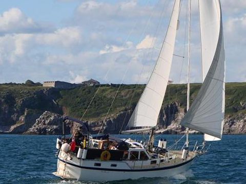 Seafinn 37