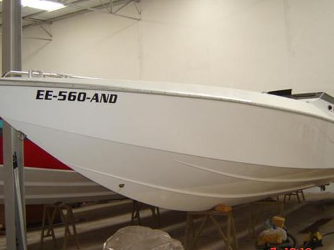 Cougar 38