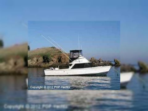 Bertram 31 Sportfish