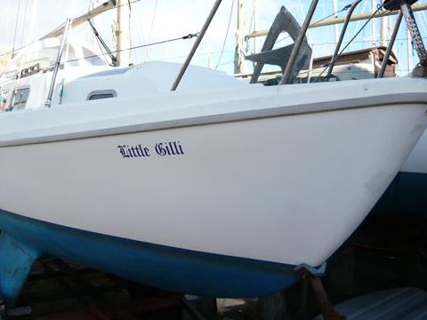 Buy 1974 Seamaster 23