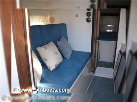 2000 Tornado 38 на продаж