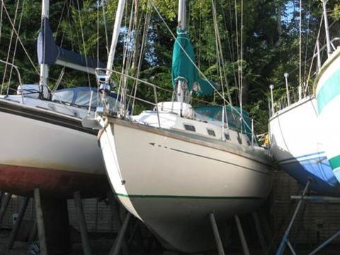 Barbican 33