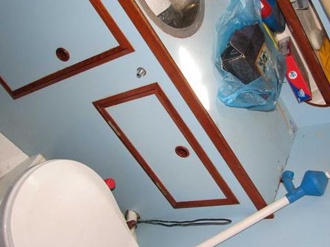 1979 Nelson for sale
