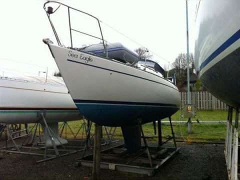 Buy 1980 Seal 28