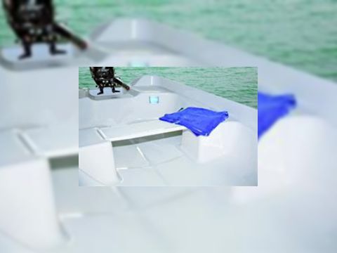 Buy 2013 Quicksilver 360 Fish