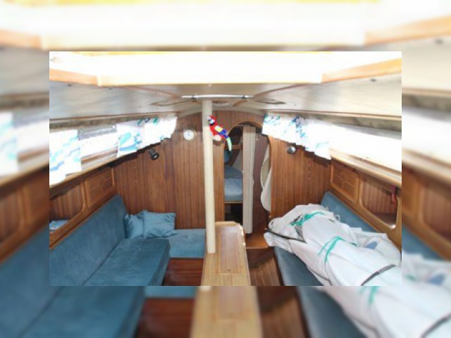 1975 Blue Dane