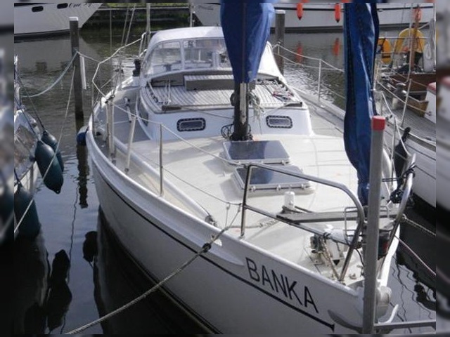 Buy 1980 Koopmans 36