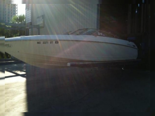 1998 Cobalt 252 satın almak