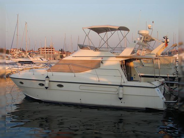 Shetland 535