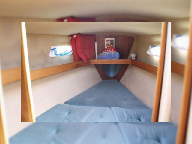 1975 Blue Dane for sale