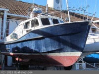 Newhaven Sea Warrior