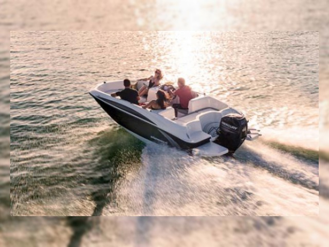 2013 Bayliner Element for sale