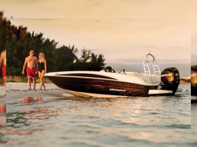 2013 Bayliner Element for sale