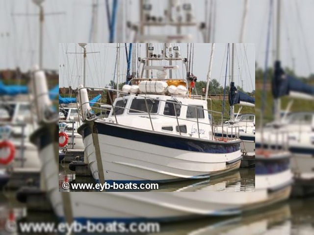 2006  Starfish10