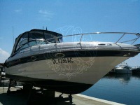 Crownline 315 Scr