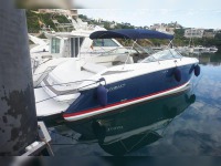 Cobalt 302