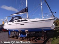 Hunter Legend 310