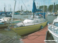  Navis 33