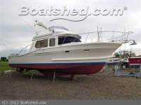 Trader 41
