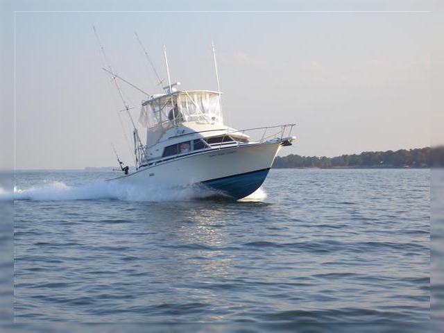 1980 Bertram 33 Sf