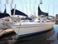 Catalina 350